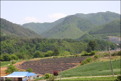 한적한 오월의 산촌 풍경 (2) 